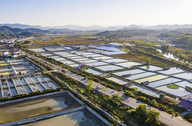 江西南丰：生态水产养殖助农增收