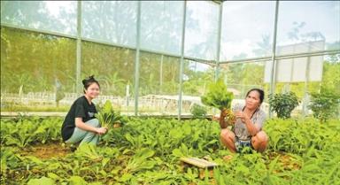 “特色蔬菜产业铺就一条致富路”