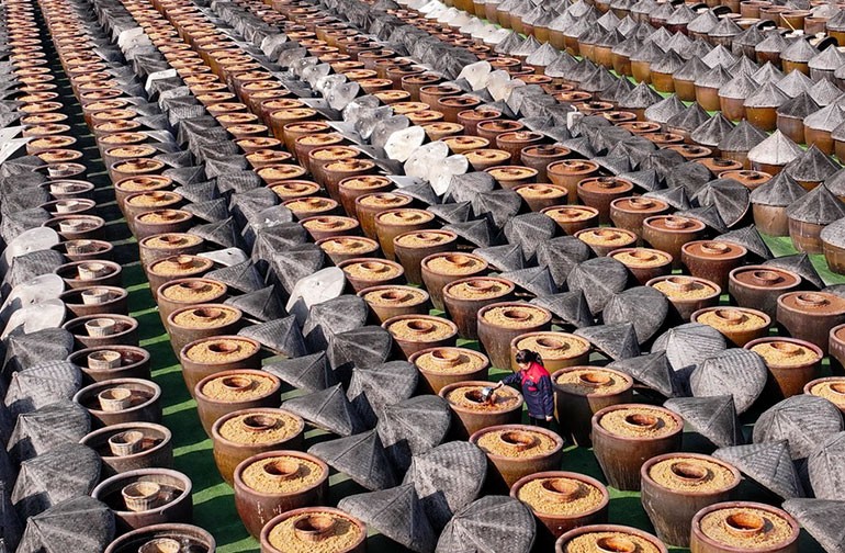 江苏淮安：酿晒忙 酱飘香