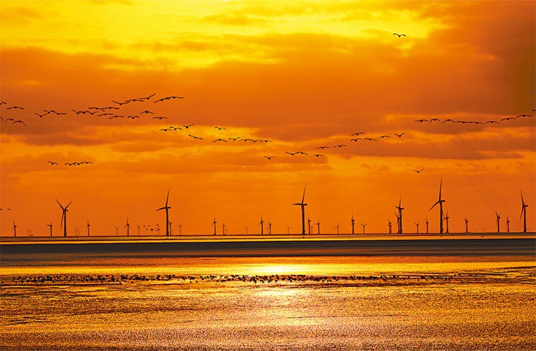 新时代画卷 | 逾山越海 逐风而行