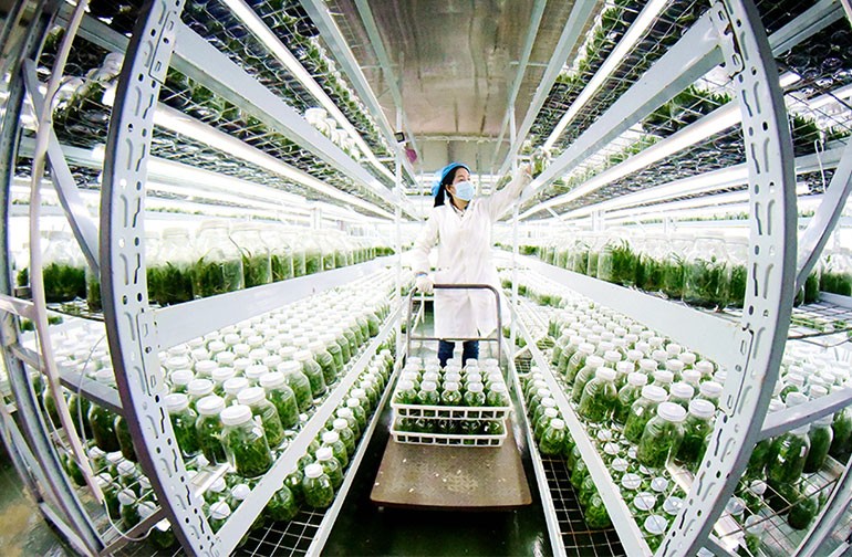 贵州从江：科技育苗备春耕