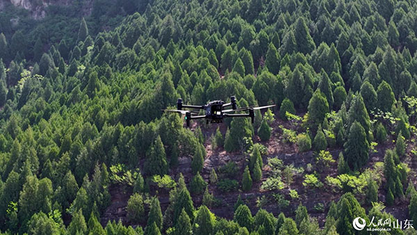 无人机执行农林飞防任务。济南低空经济发展集团供图