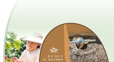 做精每一粒咖啡豆