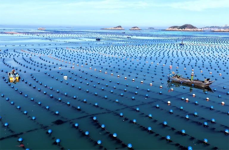 福建连江：碧波耕耘