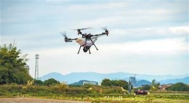 稻田里的AI故事