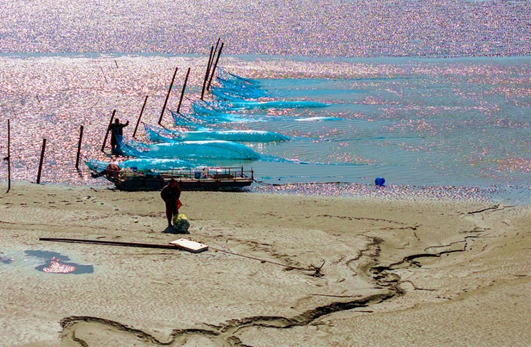 江苏东台：海湾捕鳗场呈现靓丽风景