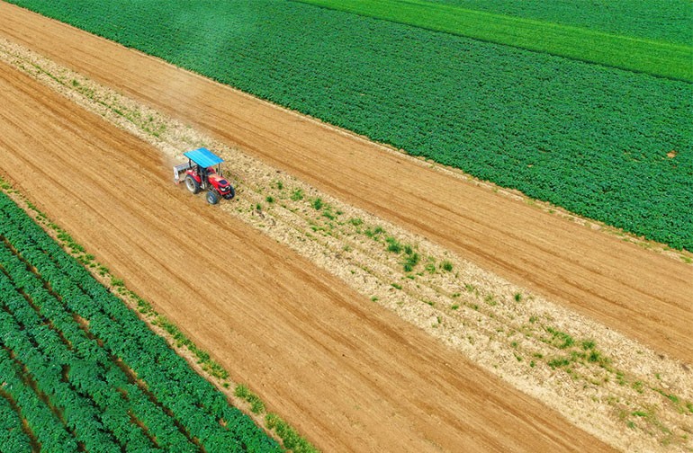 河南南阳：谷雨春耕图
