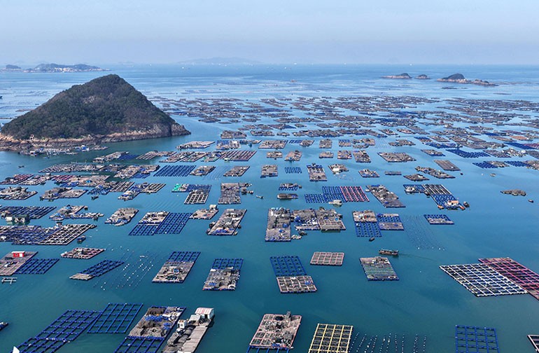福建连江：海上鲍鱼养殖场