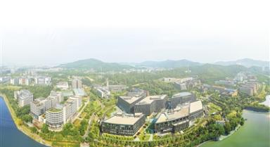 多措并举，共促产业向新向优